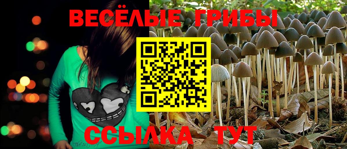 Галлюциногенные грибы Magic Shrooms  Вход с VPN  Майский 